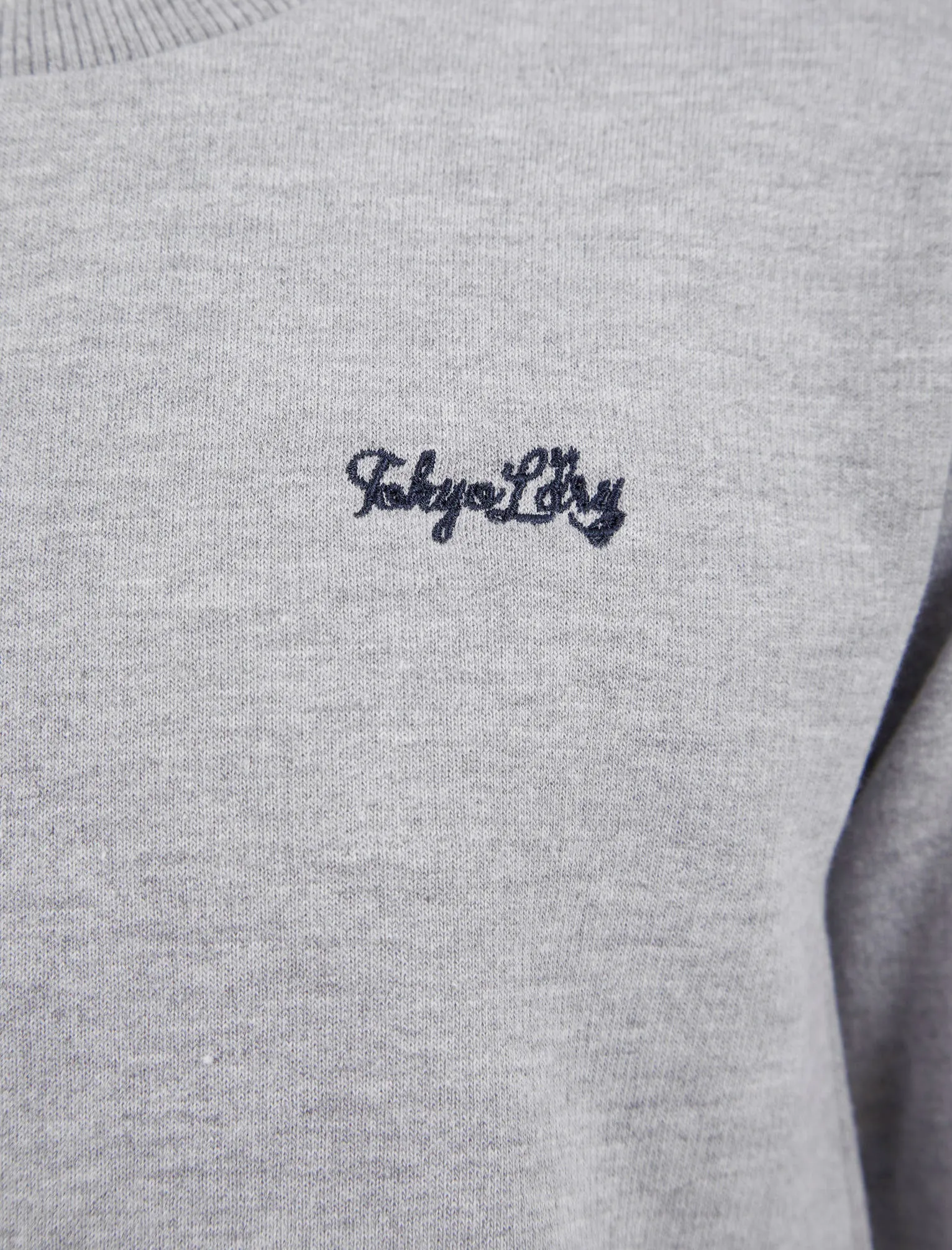 Boy's Thrown (2 Pack) Cotton Rich Fleece Sweatshirt Set in Light Grey Marl / Winetasting - Tokyo Laundry Kids (5-13yrs)