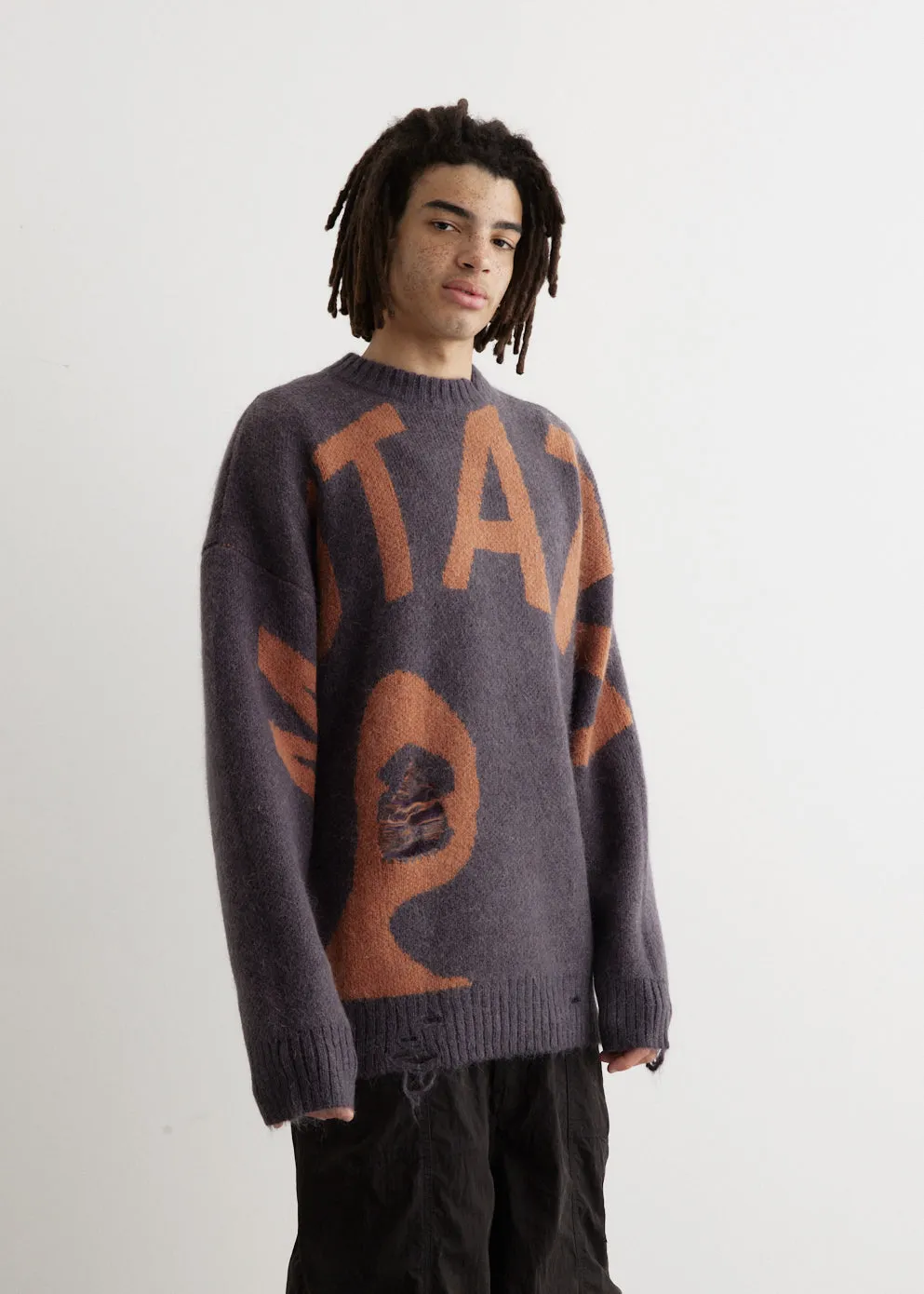 Mutate Distressed Crewneck Knit