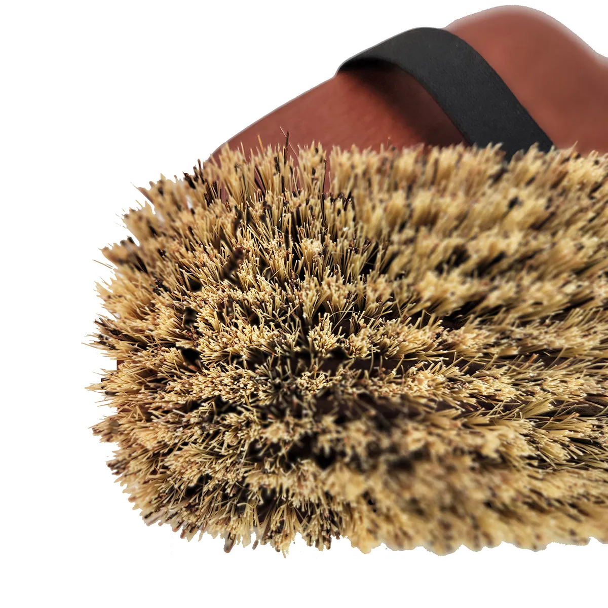 Stiff Horse Grooming Brush